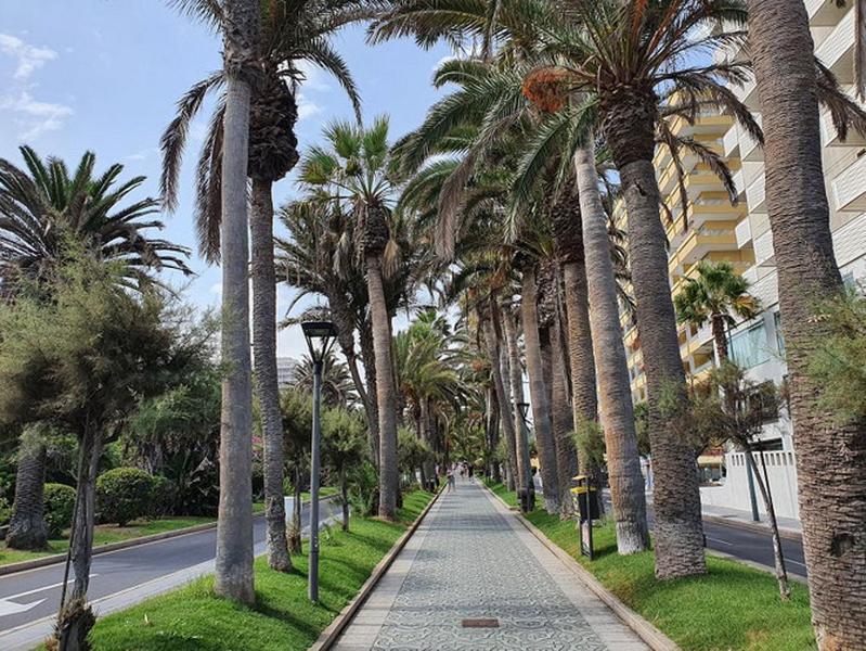 Apartamento Renovado, Frente A La Playa, Con Garaje Puerto de la Cruz (Tenerife) Exterior foto